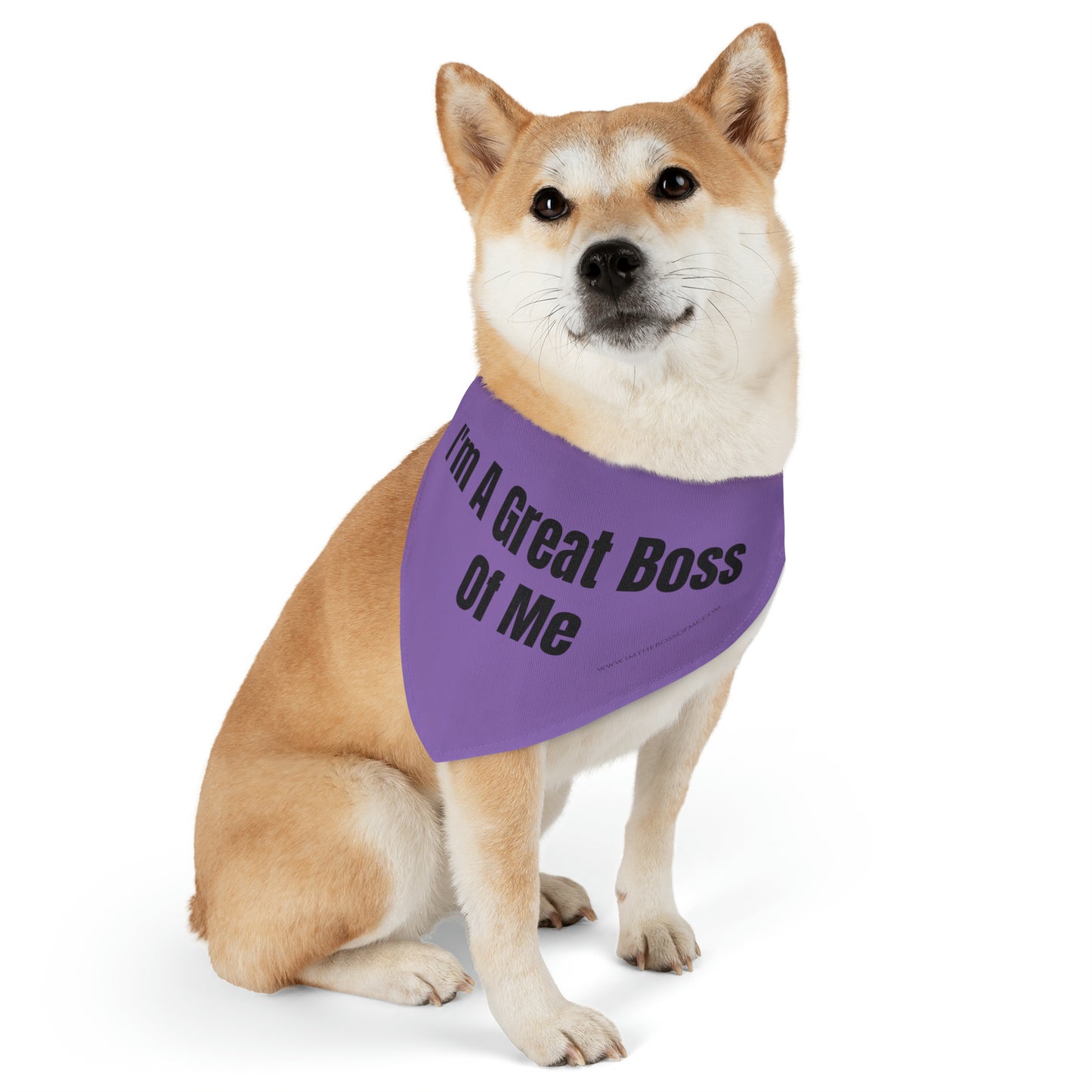 ITBOM PURPLE DOG Boss Pet Bandana Collar
