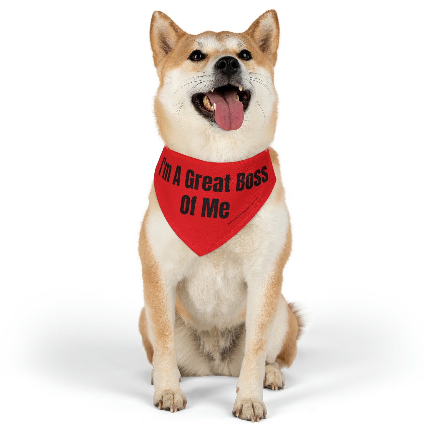 ITBOM RED DOG Boss Pet Bandana Collar