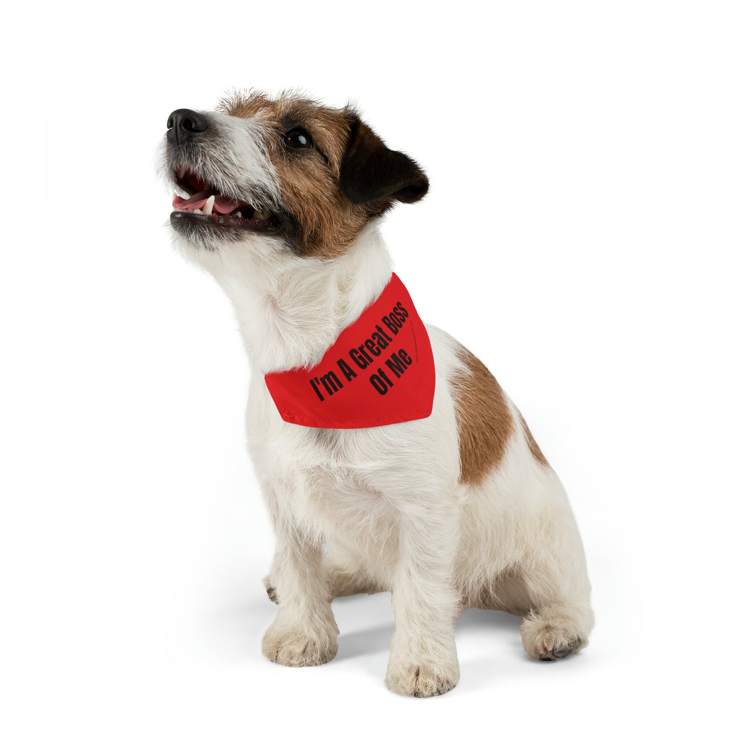 ITBOM RED DOG Boss Pet Bandana Collar