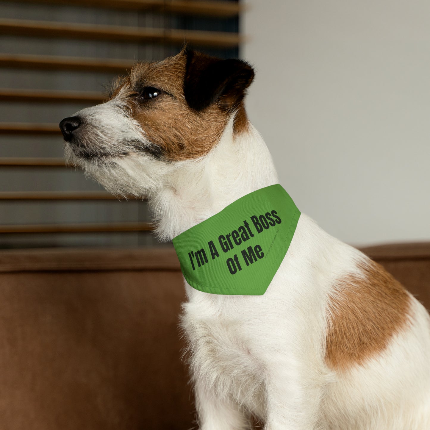 ITBOM GREEN DOG Boss Pet Bandana Collar